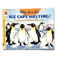 Why Are The Ice Caps Melting?
