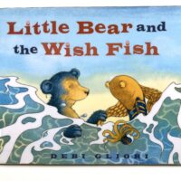 Willie Bear and the Wish Fish - Debi Gliori
