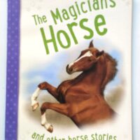 The Magician's Horse
